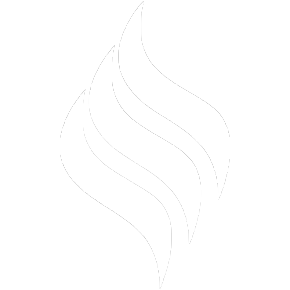 gaz logo white